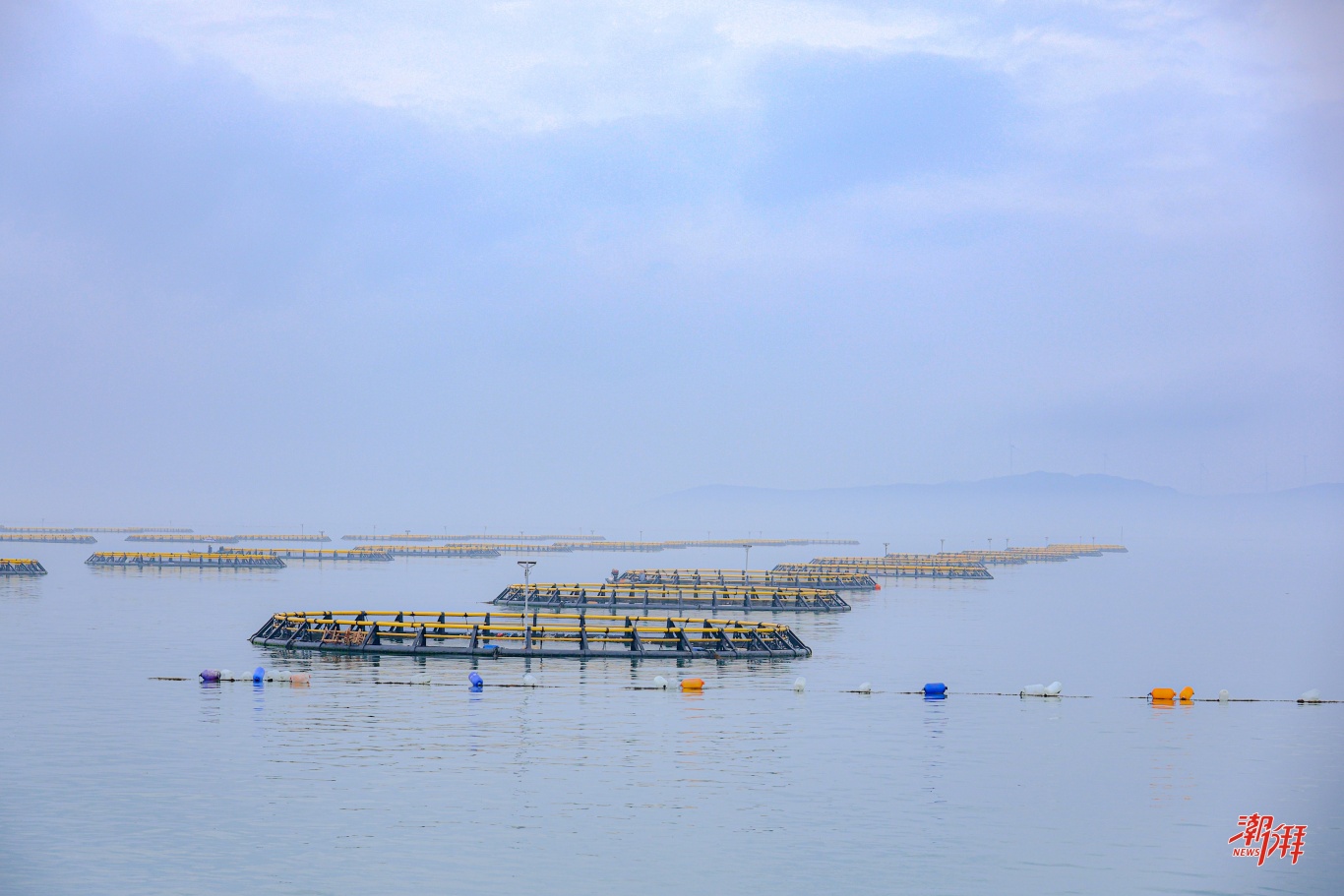 海洋牧場_1.jpg