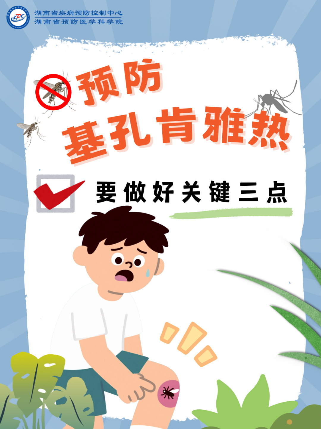 1-預防基孔肯雅熱做好關鍵三點.png