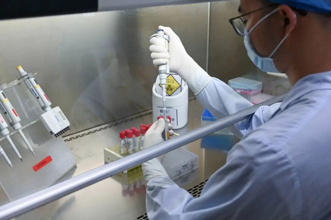 7月25日，工作人員在南方醫科大學順德醫院進行檢驗操作。 新華社記者 肖恩楠 攝